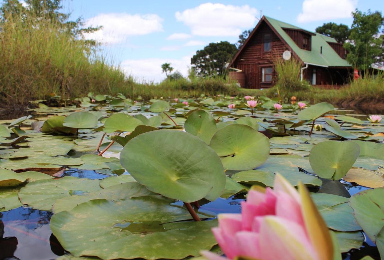 A Log Home At Buffalo Creek Buffeljagsrivier المظهر الخارجي الصورة